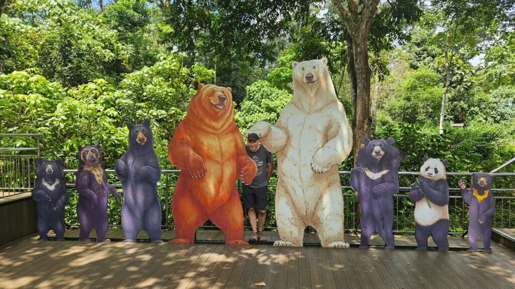 Sun Bears Protection Centre in Sepilok, Borneo