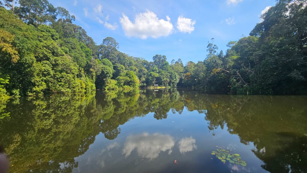 Highlights of Sandakan, in Borneo: Rainforest Centre