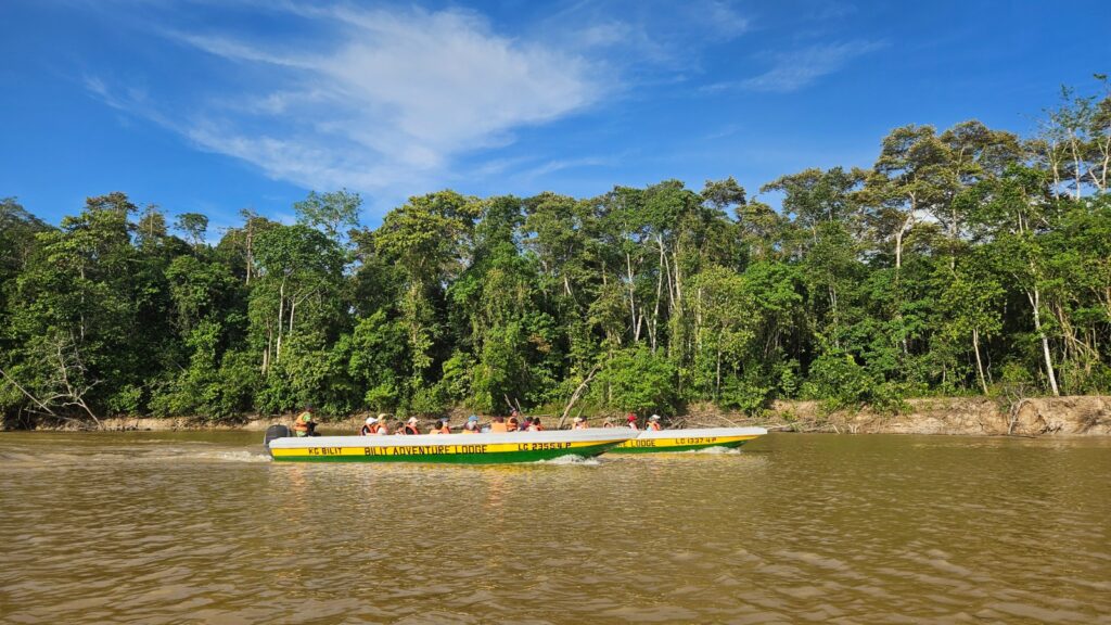 Kinabatalang River Cruise in Borneo, Sabah