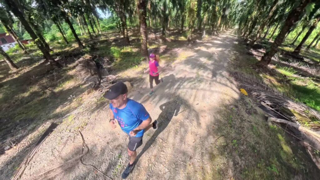 The running ginger running in the Kinabatalang River in Sabah, Borneo, 5k route