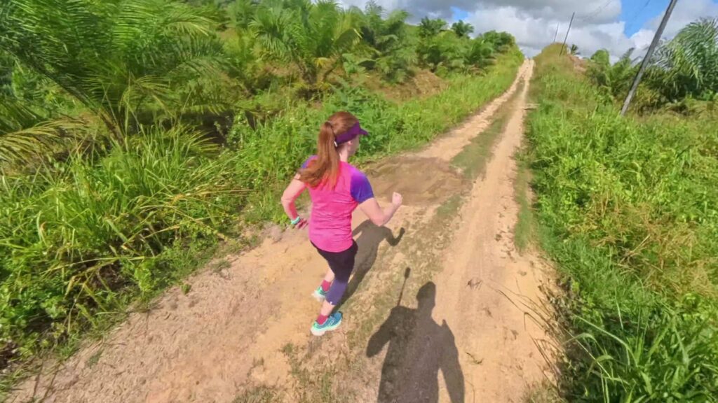 The running ginger running in the Kinabatalang River in Sabah, Borneo, 5k route