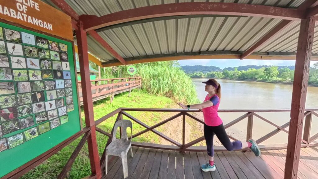 The running ginger running in the Kinabatalang River in Sabah, Borneo, 5k route
