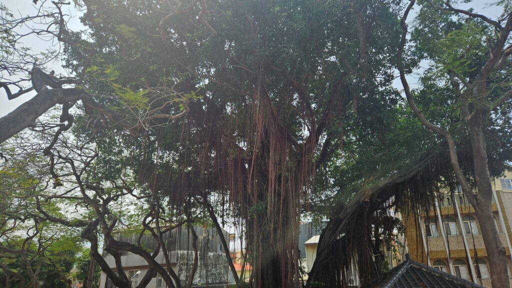 Touristic highlights of Tainan, in Taiwan, during a scenic 10k run. Recommended route for running in Anping and Tainan in general. Anping Fort.